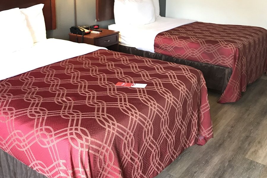Econo Lodge Crystal Coast — Guest room