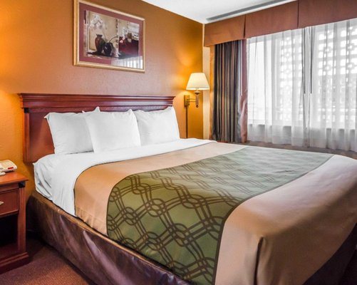 Econo Lodge Downtown — Guest room