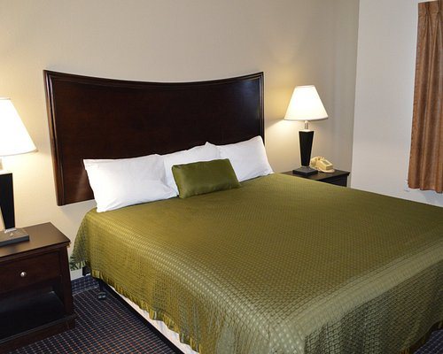 Econo Lodge Inn and Suites Auburn Michigan — Guest room