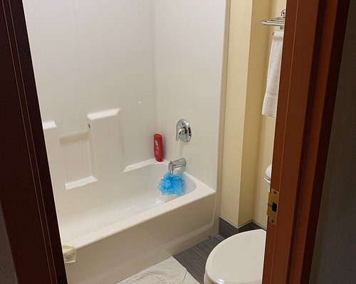 Econo Lodge Inn Suites Dawsonville Georgia — Bathroom