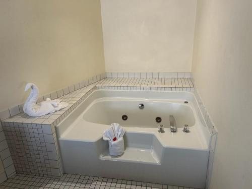Econo Lodge Inn Suites Maingate Central — Bathroom