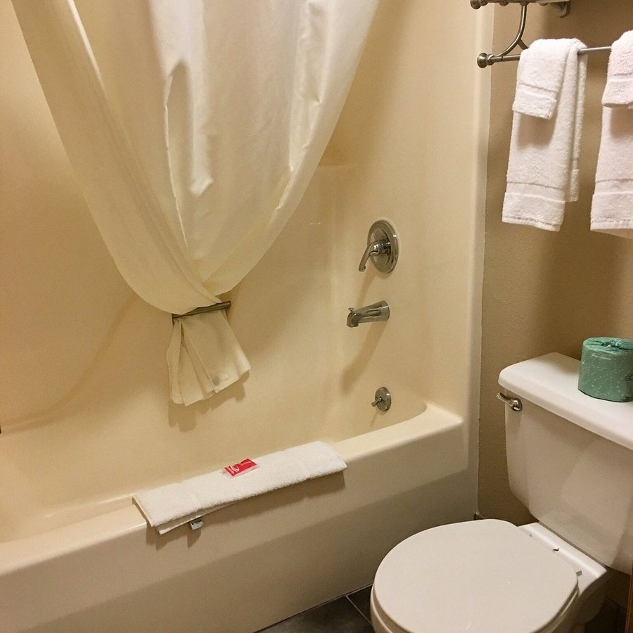 Econo Lodge Inn Suites Shepherd Of The Hills Expy — Bathroom