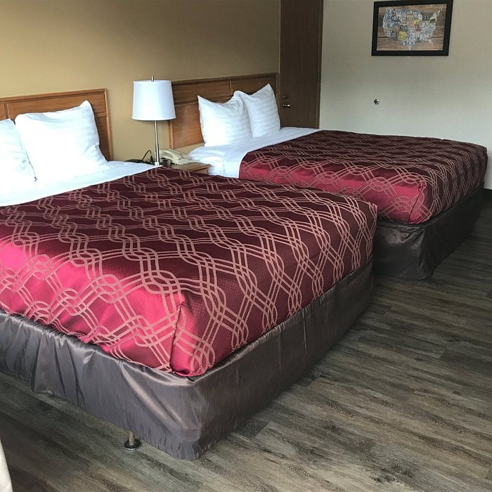 Econo Lodge Inn Suites Shepherd Of The Hills Expy — Guest room