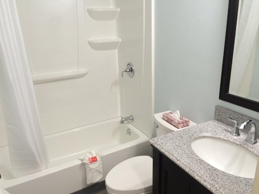 Econo Lodge Mayo Clinic Area — Bathroom