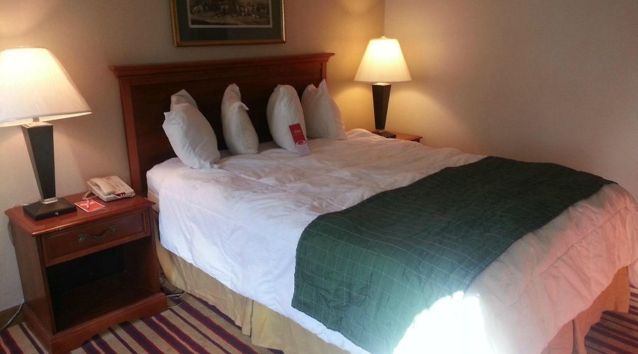 Econo Lodge near Ft Stewart — Guest room