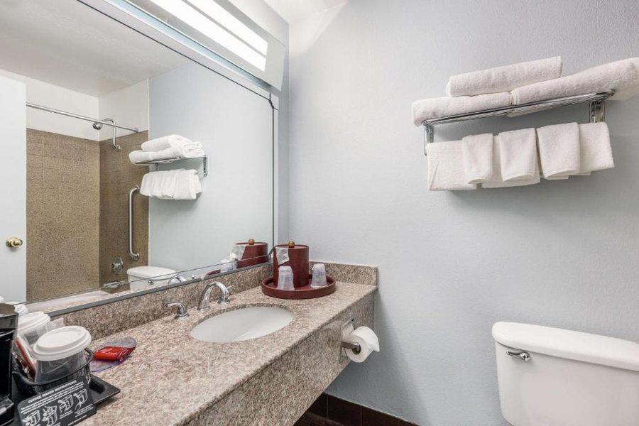 Econo Lodge SeaTac Airport North — Bathroom