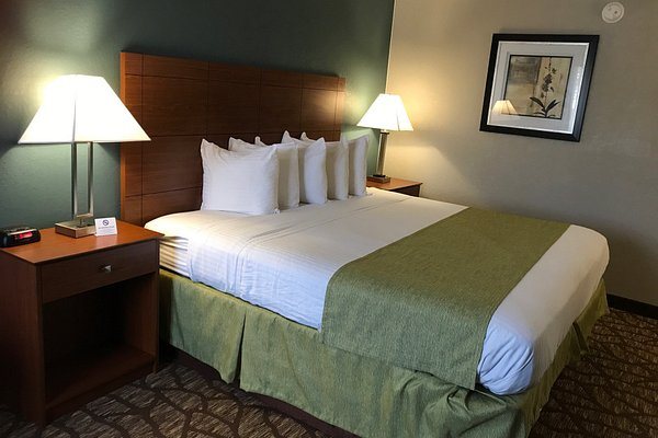 Econo Lodge Suites — Guest room