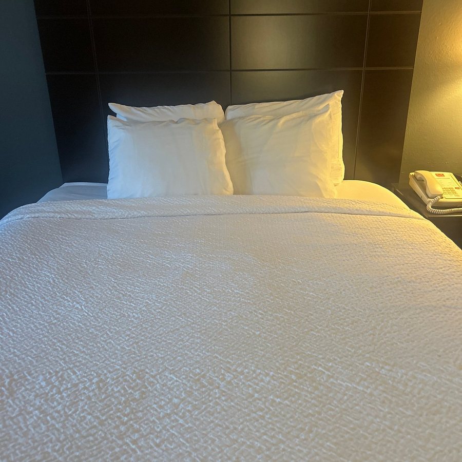 Econolodge I 40 Exit 286 holbrook — Guest room