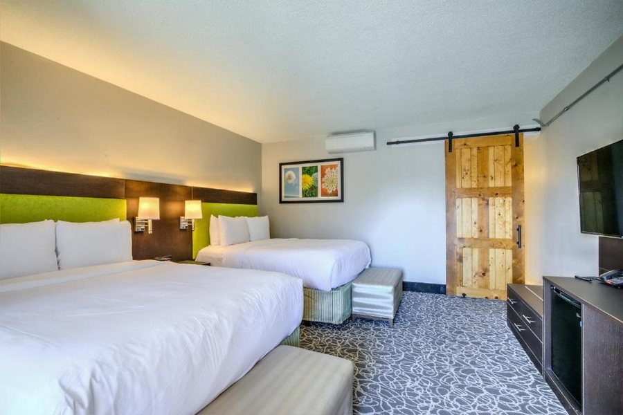 El Sendero Inn — Guest room