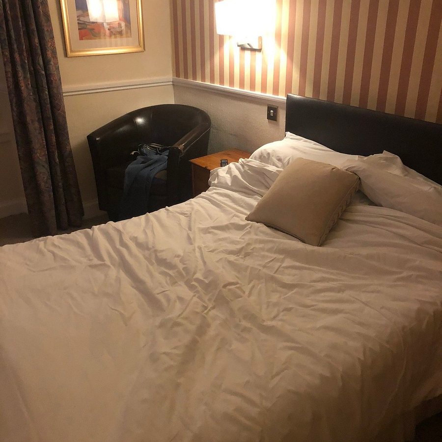 Elder York Guest House — Guest room