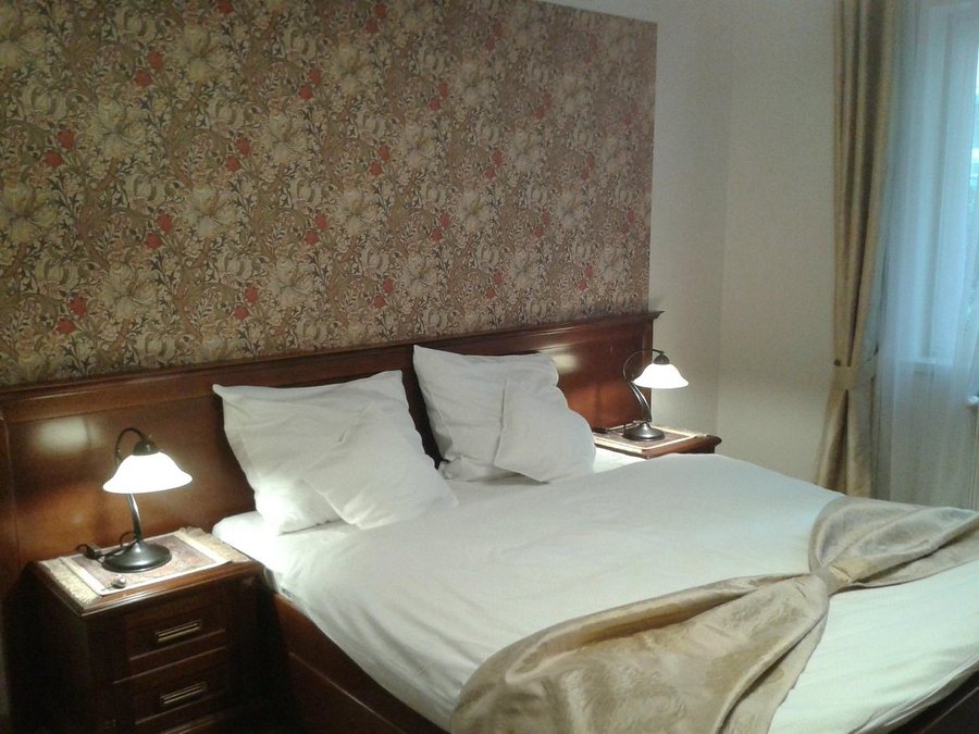 Elegant Apartments — Guest room