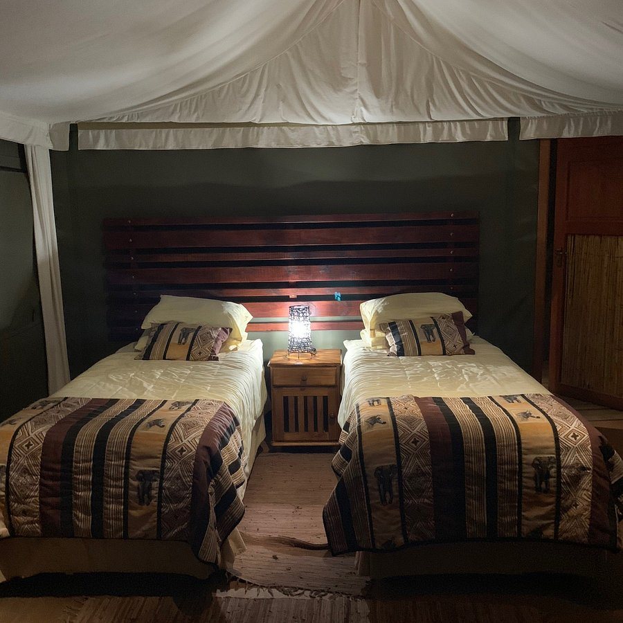 Elephant Sands Botswana — Guest room
