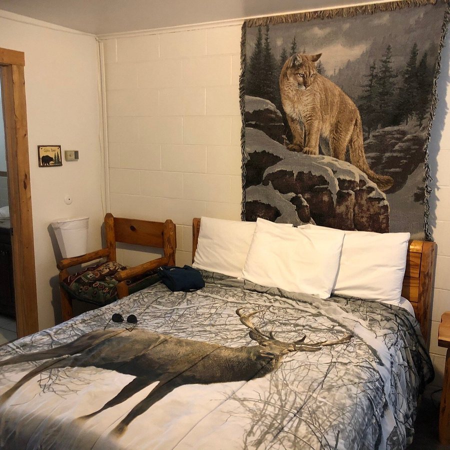 Elk Antler Inn — Guest room