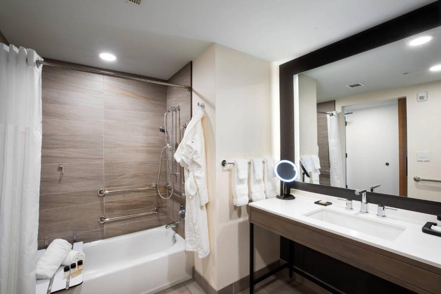 Elliot Park Hotel Autograph Collection — Bathroom