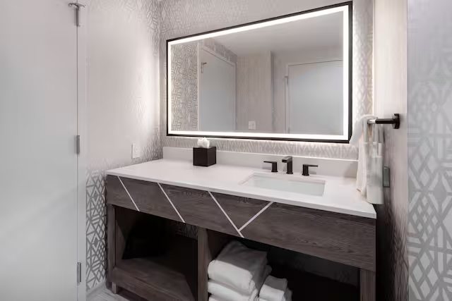 Embassy Suites by Hilton Asheville Downtown — Bathroom