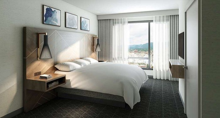 Embassy Suites by Hilton Asheville Downtown — Guest room
