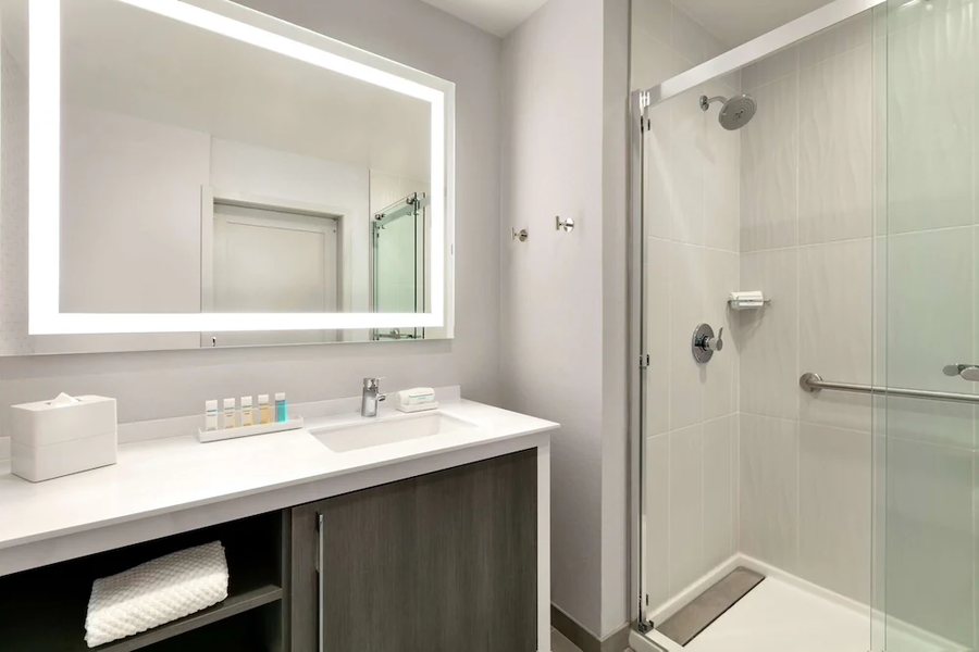 Embassy Suites by Hilton Atlanta Midtown — Bathroom