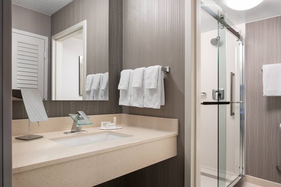 Embassy Suites by Hilton Convention Center Las Vegas Las Vegas Nevada — Bathroom