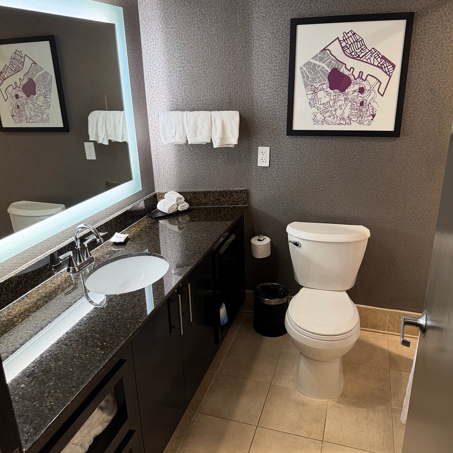 Embassy Suites by Hilton Crystal City National Airport — Bathroom