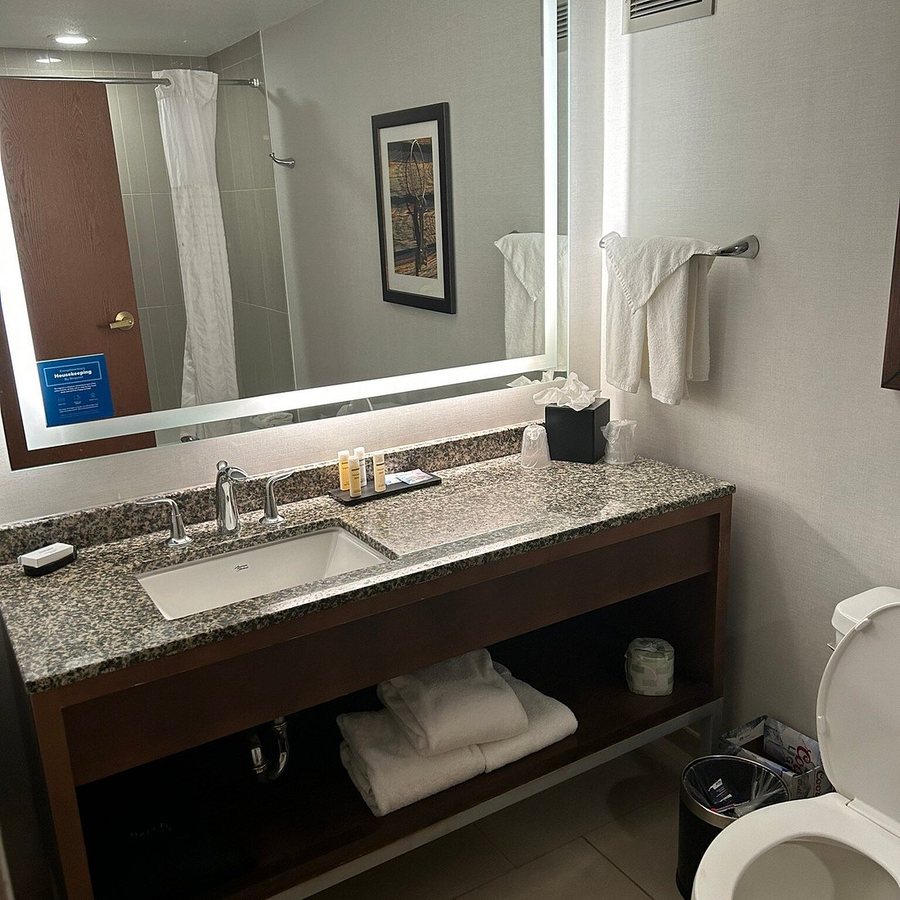 Embassy Suites by Hilton Dallas DFW Airport South — Bathroom