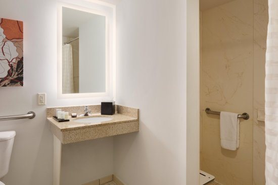 Embassy Suites by Hilton Denver Tech Center — Bathroom