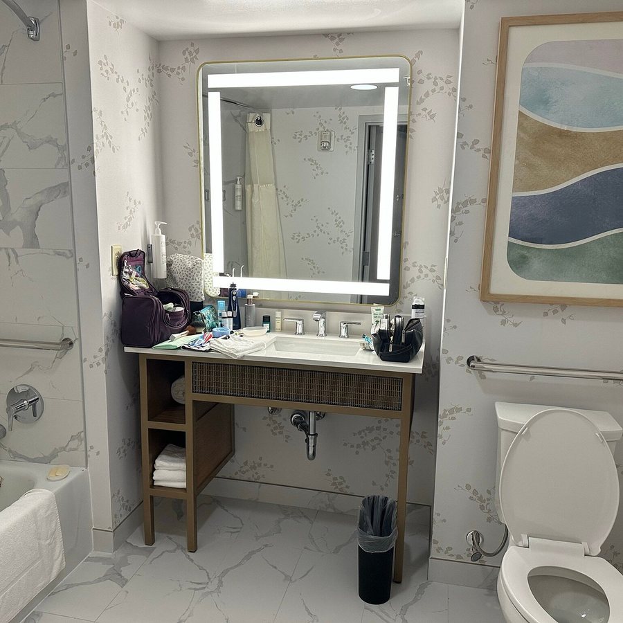 Embassy Suites by Hilton Dulles North Loudoun — Bathroom