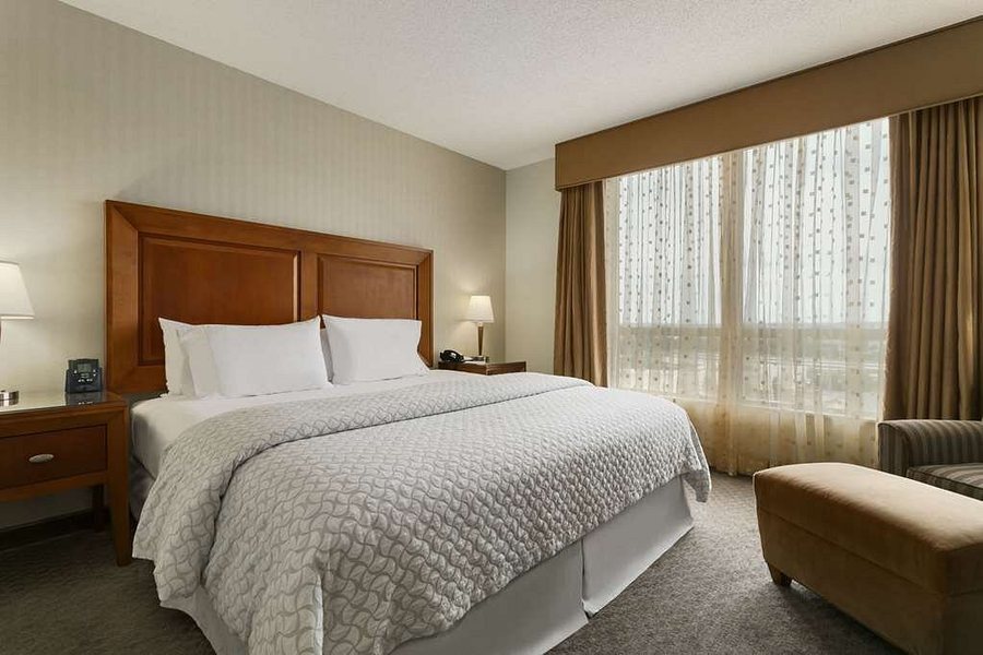 Embassy Suites by Hilton Dulles North Loudoun — Guest room