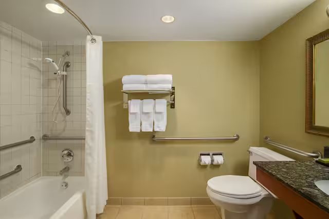 Embassy Suites by Hilton Greenville Downtown Riverplace — Bathroom