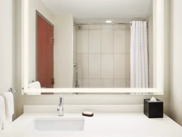 Embassy Suites by Hilton Hampton Convention Center — Bathroom