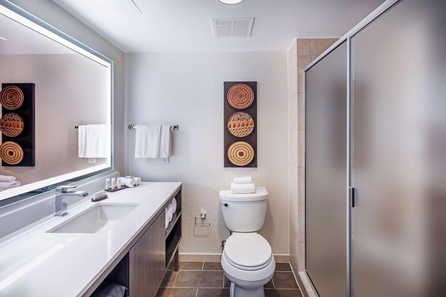 Embassy Suites by Hilton Houston Downtown Convention Center — Bathroom