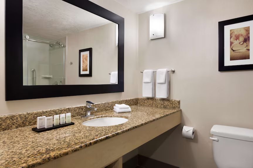 Embassy Suites by Hilton Las Vegas — Bathroom