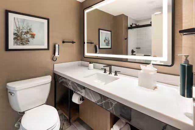 Embassy Suites by Hilton Minneapolis North — Bathroom