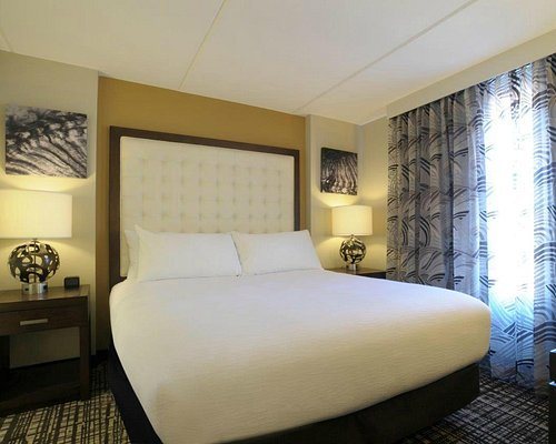 Embassy Suites by Hilton Oklahoma City Downtown Medical Center — Guest room