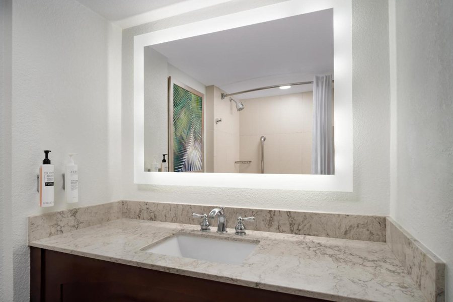 Embassy Suites by Hilton Orlando Lake Buena Vista South — Bathroom