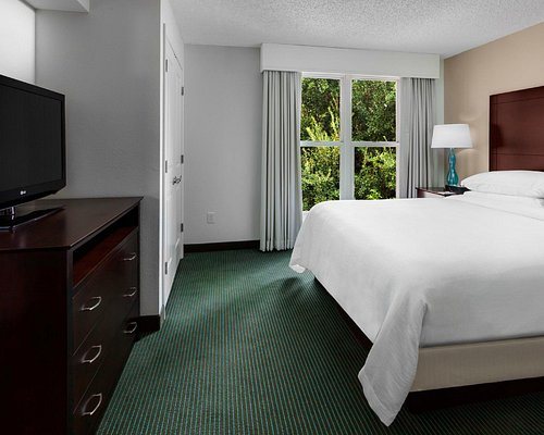 Embassy Suites by Hilton Orlando Lake Buena Vista South — Guest room