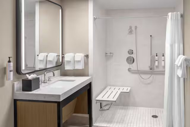 Embassy Suites By Hilton San Antonio Brooks Hotel Spa — Bathroom
