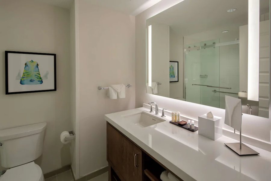 Embassy Suites by Hilton St Augustine Beach Oceanfront Resort — Bathroom