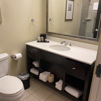 Embassy Suites by Hilton St Louis Airport — Bathroom