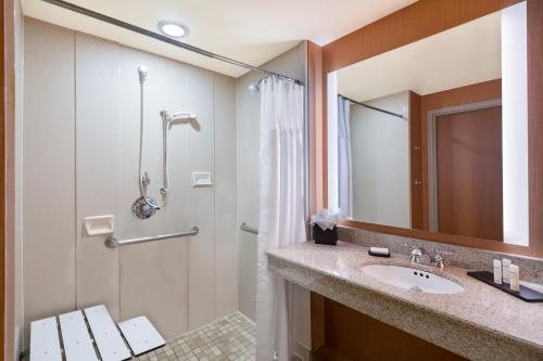 Embassy Suites by Hilton St Louis Downtown — Bathroom