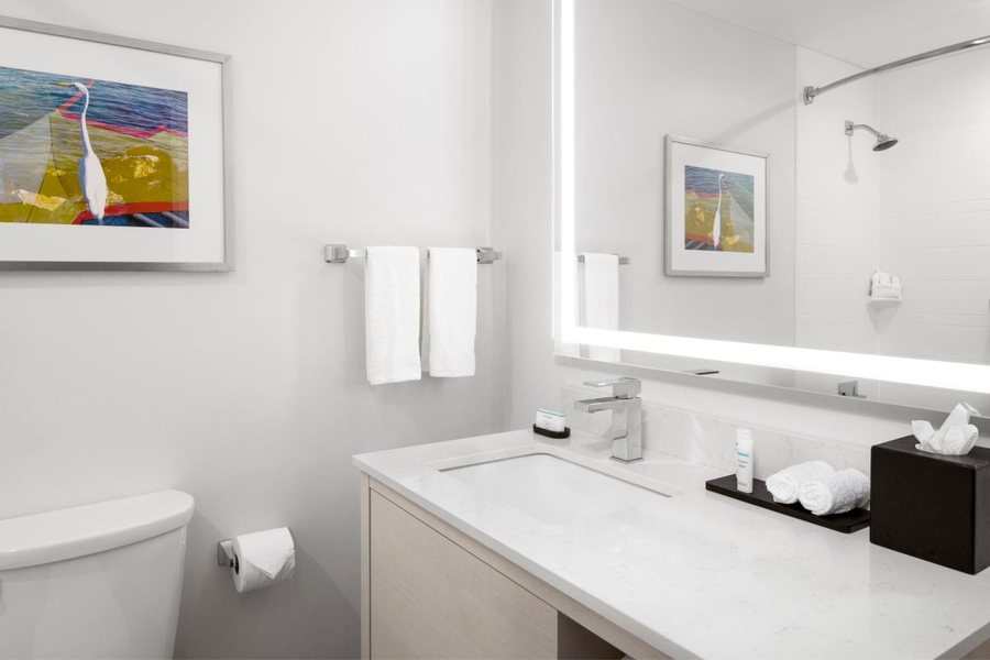 Embassy Suites by Hilton Tampa Airport Westshore — Bathroom