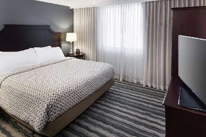 Embassy Suites By Hilton Tampa Brandon Tampa Florida — Guest room