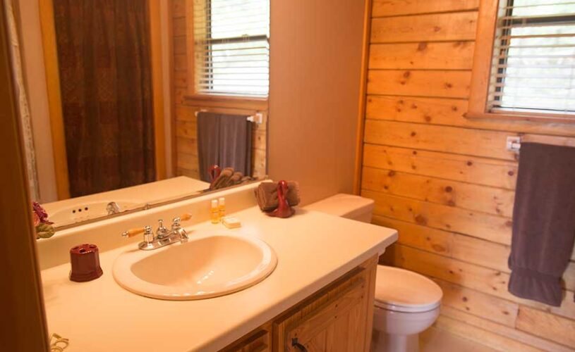 Enchanted Forest Resort — Bathroom