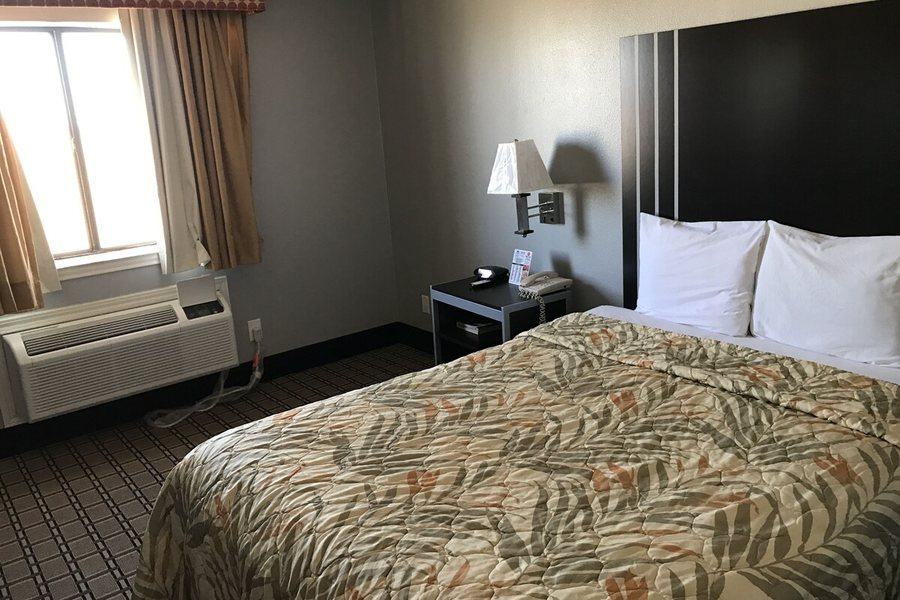 Encore Country Sunshine — Guest room
