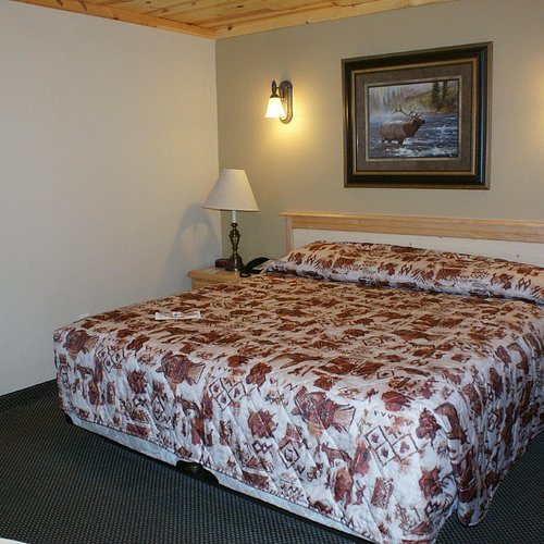 EO Bungalows — Guest room