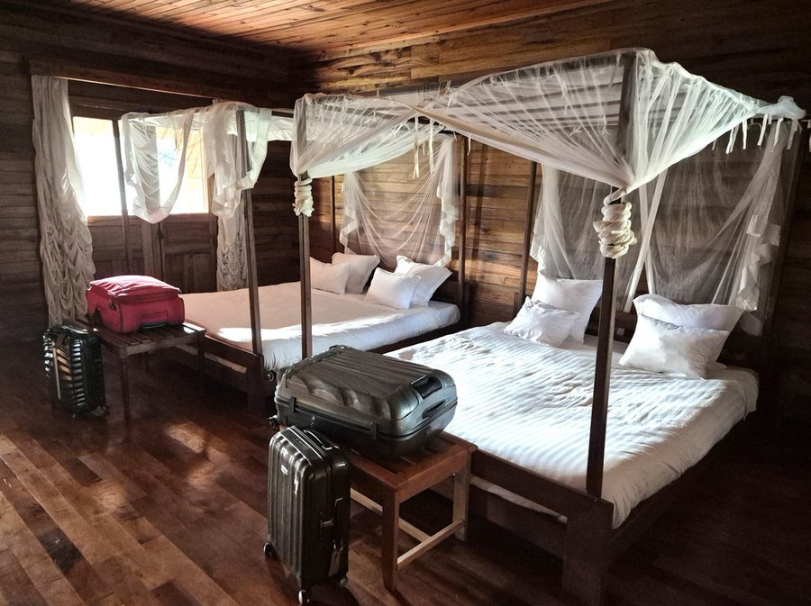 Eulophiella — Guest room
