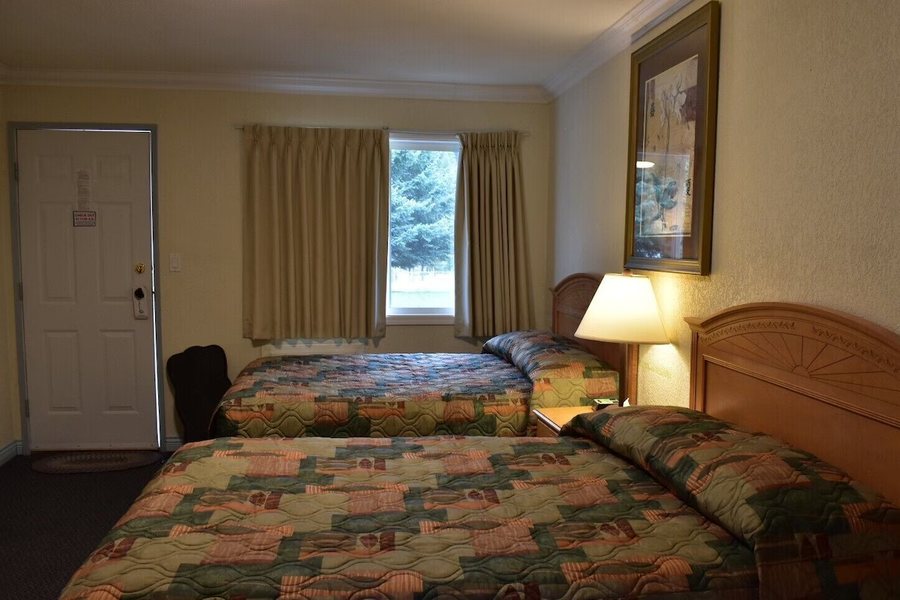 Evening Star Motel — Guest room