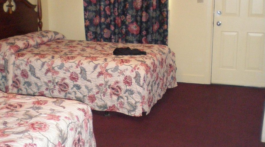 Evergreen Motel — Guest room