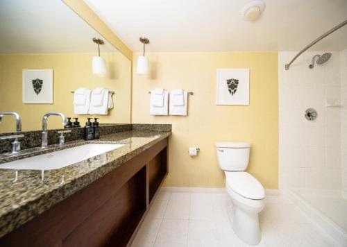 Excalibur Hotel Casino — Bathroom