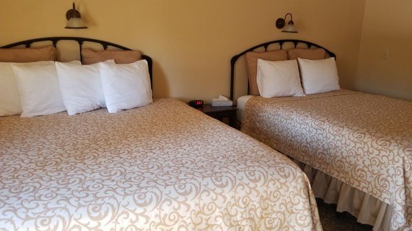 Exit Glacier Lodge — Guest room