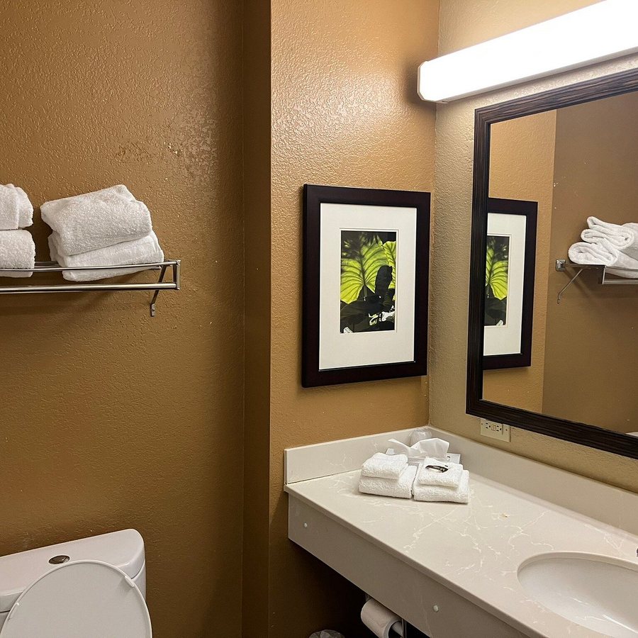 Extended Stay America Tampa Airport N West Shore Blvd — Bathroom